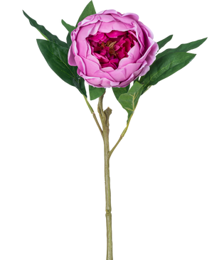La flor artificial Lotus Peony Real Touch en color violeta, de 58 cm de largo, tiene pétalos en capas, hojas verdes y un tallo largo. En la foto sobre un fondo blanco liso.