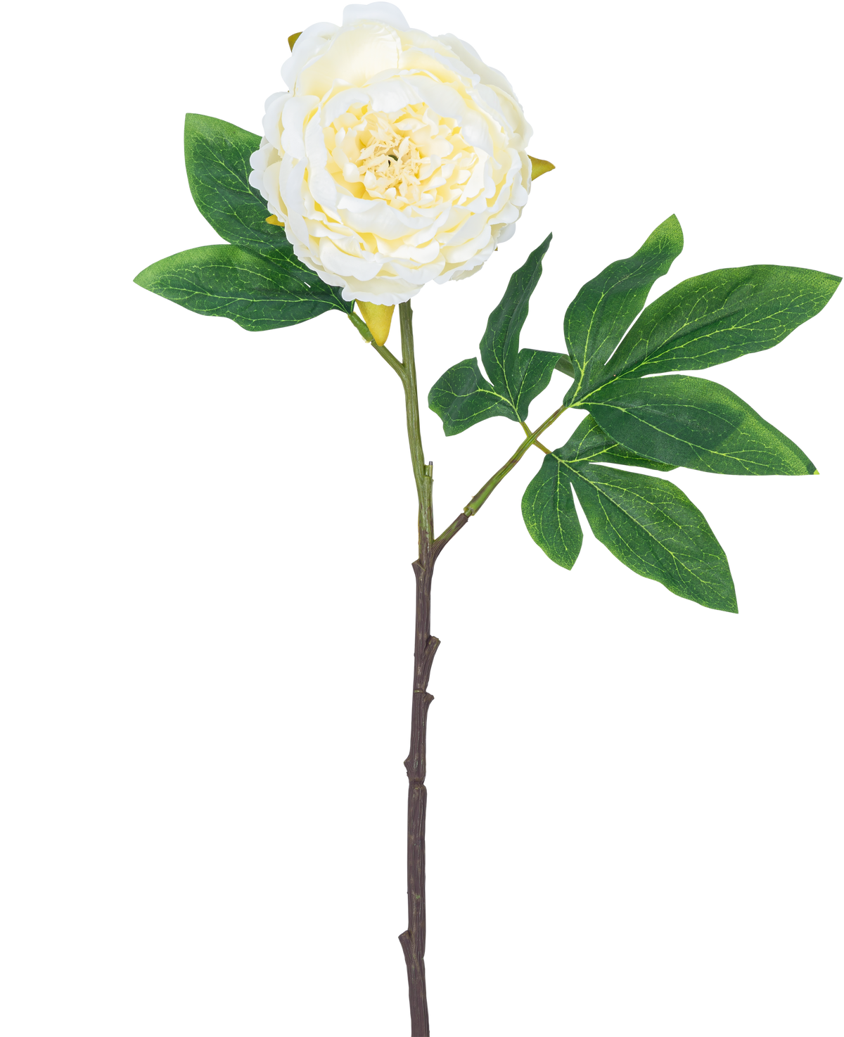 Flor artificial Peonía 61 cm blanca: una única peonía blanca con pétalos en capas, hojas verdes y un largo tallo marrón, aislada sobre fondo blanco.