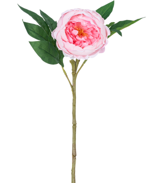 La Peonía Artificial Real Touch Pink 58 cm es una peonía rosa artificial con pétalos en capas, un corazón amarillo, hojas verdes y un largo tallo marrón, representada sobre un fondo blanco liso.