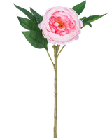 La Peonía Artificial Real Touch Pink 58 cm es una peonía rosa artificial con pétalos en capas, un corazón amarillo, hojas verdes y un largo tallo marrón, representada sobre un fondo blanco liso.