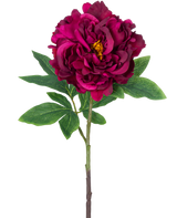 La flor de peonía artificial de 61 cm violeta es una única peonía artificial con pétalos en capas de color violeta oscuro, un corazón amarillo, hojas verdes y un tallo largo, representada sobre un fondo blanco liso.