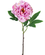 Una sola flor artificial de peonía de 61 cm de color rosa claro, con pétalos de color rosa claro y hojas verdes en un tallo largo, fotografiada sobre un fondo blanco liso.