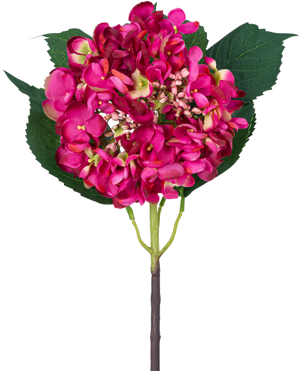 Una sola hortensia de jardín de flores artificiales de 61 cm con una flor de hortensia rosa y tres grandes hojas verdes sobre un fondo blanco.