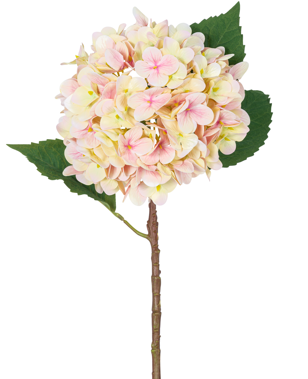 La Flor Artificial Hortensia Real Touch Rosa 58 cm es un único tallo de hortensia artificial con suaves pétalos de color rosa y dos grandes hojas verdes, perfecto para decoración y presentado sobre un fondo blanco.