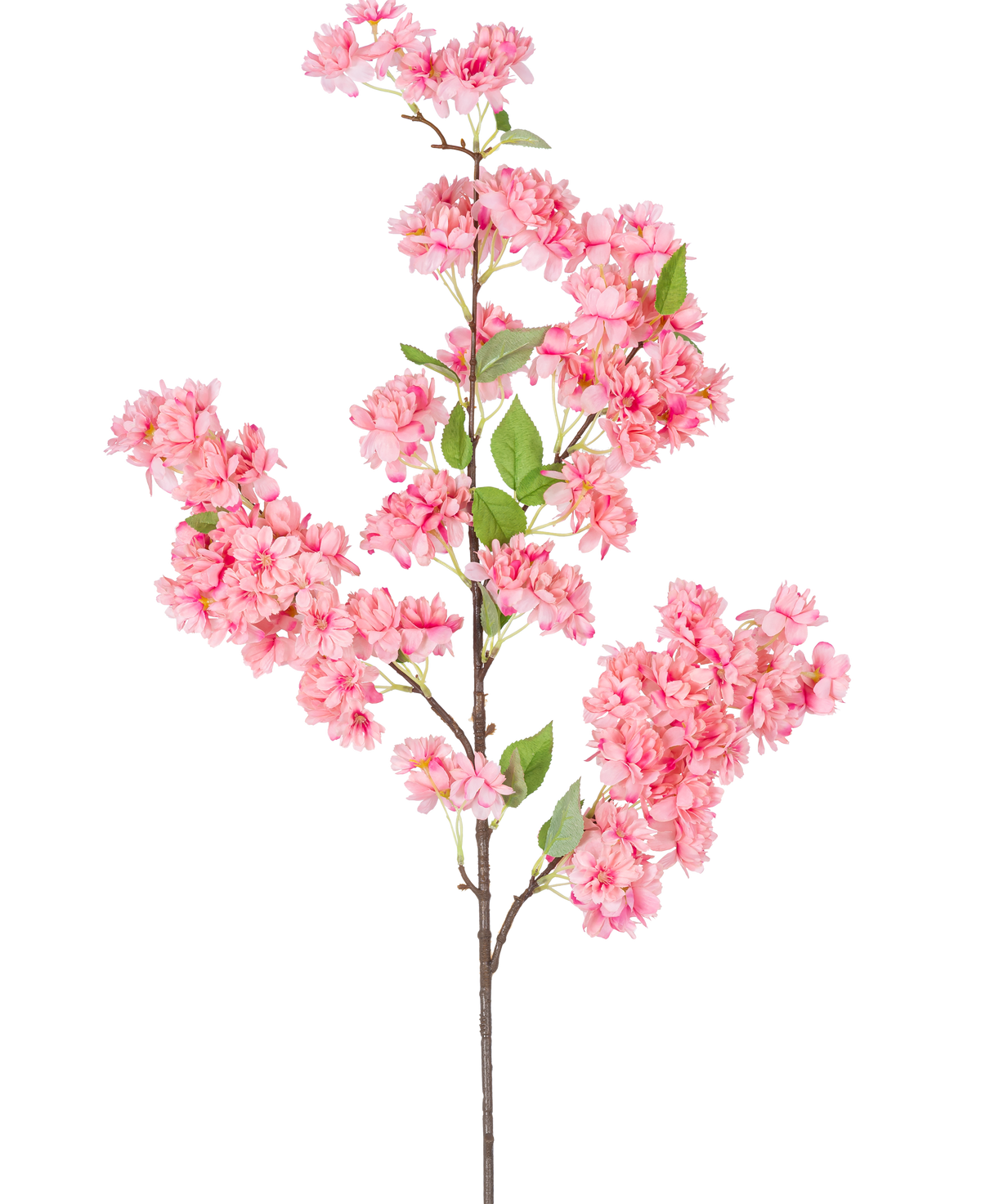 La Flor de Cerezo Artificial 100 cm rosa es una única rama de cerezo artificial con ramos de flores de color rosa brillante y hojas verdes, perfecta para uso decorativo.