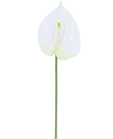 La flor artificial Anthurium 68 cm blanca tiene un único anturio artificial blanco con un espádice de color amarillo claro sobre un tallo largo y verde. Ideal para cualquier espacio, ofrece elegancia duradera y no requiere agua.