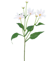 La Flor Artificial Madelief 76 cm blanca tiene un único tallo verde con varias hojas grandes y cinco flores blancas parecidas a margaritas con un corazón amarillo, sobre un fondo blanco liso.