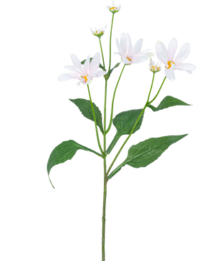 La Flor Artificial Madelief 76 cm blanca tiene un único tallo verde con varias hojas grandes y cinco flores blancas parecidas a margaritas con un corazón amarillo, sobre un fondo blanco liso.