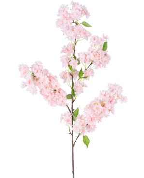 La flor de cerezo artificial rosa de 100 cm tiene un tallo largo de color marrón, racimos de flores de cerezo de color rosa claro y hojas verdes sobre un fondo blanco.
