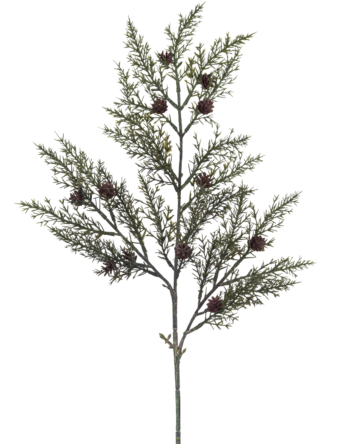La rama artificial de pino aguja de 65 cm verde tiene una sola rama con finas hojas verdes en forma de agujas y pequeñas piñas marrones sobre un fondo blanco.