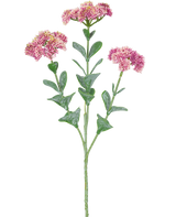 La Rama Artificial Sedum 56 cm rosa claro tiene un único tallo verde con múltiples ramas, cada una decorada con ramos de pequeñas flores de color rosa claro con pétalos redondeados, sobre un fondo blanco.