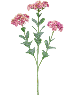 La Rama Artificial Sedum 56 cm rosa claro tiene un único tallo verde con múltiples ramas, cada una decorada con ramos de pequeñas flores de color rosa claro con pétalos redondeados, sobre un fondo blanco.