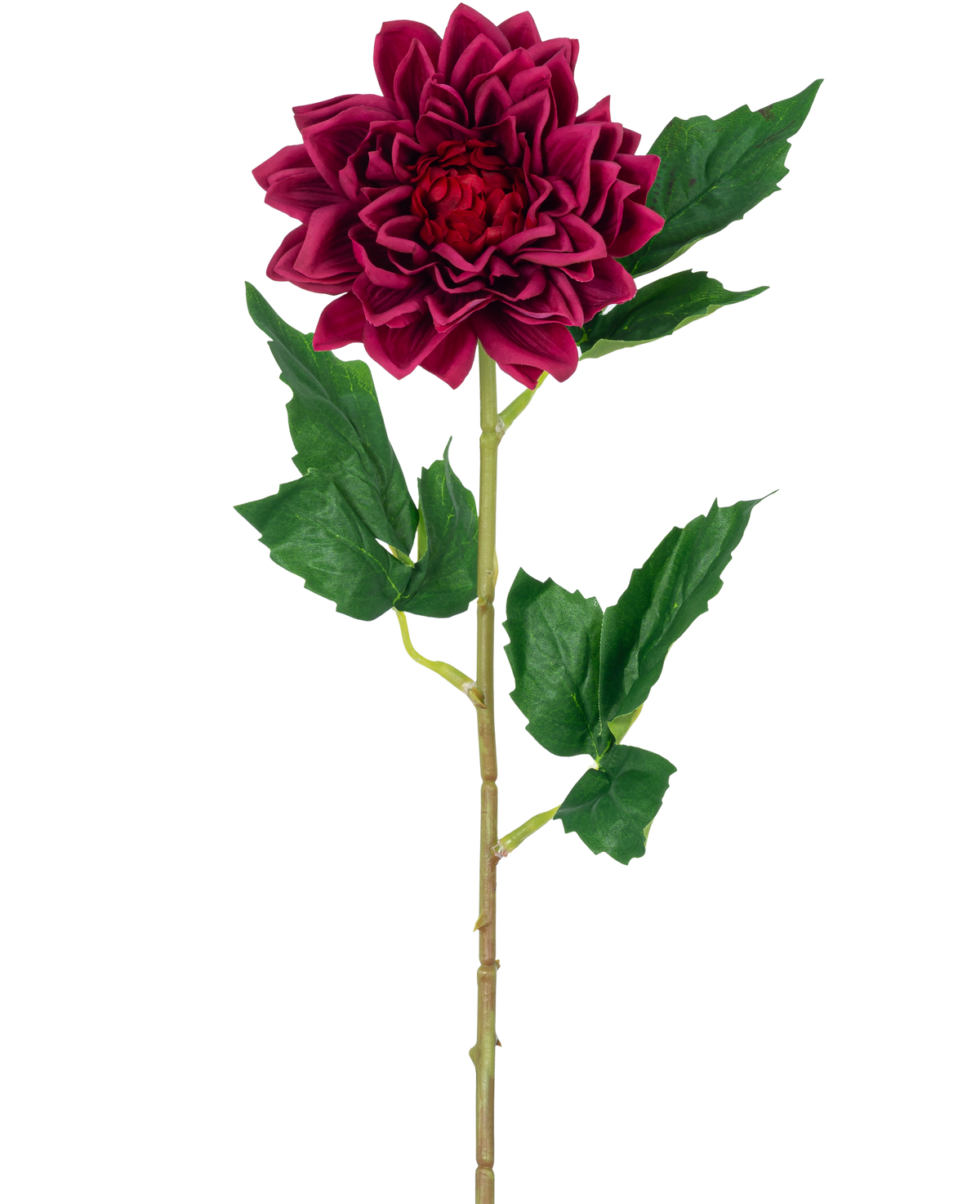 La Flor Artificial Dalia Real Touch rojo oscuro 54 cm tiene una única flor de dalia de color rojo intenso con hojas verdes en un tallo, aislada sobre un fondo blanco.
