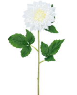 La Flor Artificial Dalia Real Touch blanca de 54 cm tiene un único tallo de dalia blanca con un corazón amarillo y hojas verdes, sobre un fondo blanco liso.