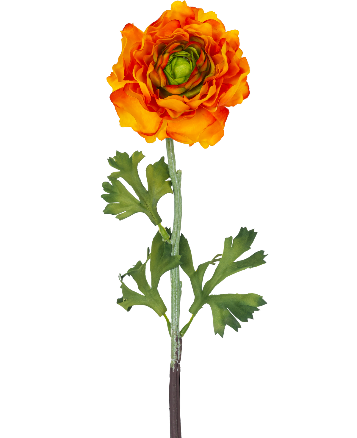 La Flor Artificial Ranúnculo 51 cm naranja es una flor artificial de ranúnculo naranja con pétalos en capas y hojas verdes en un tallo largo, perfecta como acento decorativo.