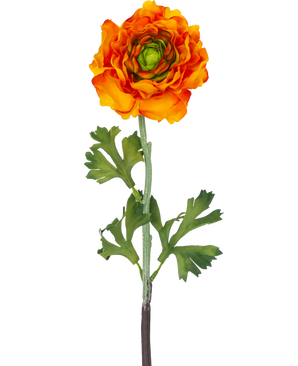 La Flor Artificial Ranúnculo 51 cm naranja es una flor artificial de ranúnculo naranja con pétalos en capas y hojas verdes en un tallo largo, perfecta como acento decorativo.