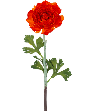 La flor artificial Ranunculus de 51 cm de color naranja oscuro tiene una vibrante flor de ranúnculo artificial de color naranja oscuro con pétalos en capas y hojas verdes lobuladas sobre un tallo largo, sobre un fondo blanco liso.