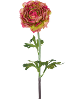 La Flor Artificial Ranúnculo 51 cm rosa/verde es un único ranúnculo artificial con pétalos rosas y verdes, hojas verdes y un tallo largo, sobre un fondo blanco.