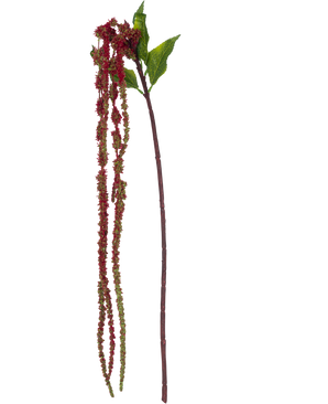 La Flor Artificial Amaranthus 122 cm rojo vino tiene un único tallo de amaranto artificial con hojas verdes y largos racimos de pequeñas flores de color rojo vino sobre un fondo blanco.