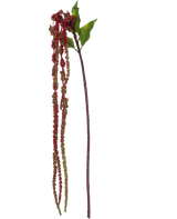 La Flor Artificial Amaranthus 122 cm rojo vino tiene un único tallo de amaranto artificial con hojas verdes y largos racimos de pequeñas flores de color rojo vino sobre un fondo blanco.