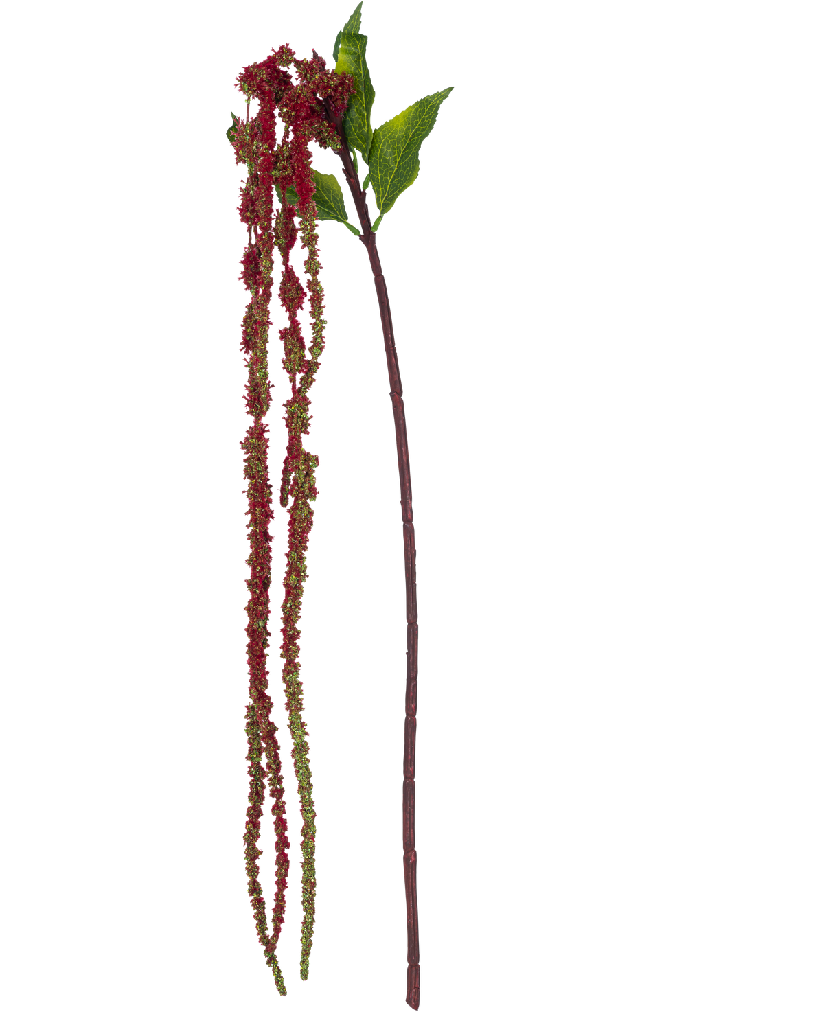 La Flor Artificial Amaranthus 122 cm rojo vino tiene un único tallo de amaranto artificial con hojas verdes y largos racimos de pequeñas flores de color rojo vino sobre un fondo blanco.
