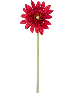 La flor artificial Gerbera roja de 53 cm tiene una sola gerbera roja con pétalos en capas y un corazón amarillo sobre un largo tallo verde, sobre un fondo blanco liso.