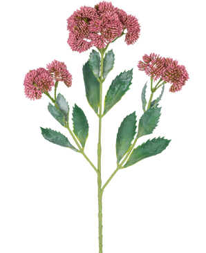 Una ilustración digital de la rama artificial Sedum 48 cm roja muestra una planta con flores con hojas verdes y racimos de pequeñas flores de color rosa violeta sobre tallos ramificados, sobre un fondo blanco.
