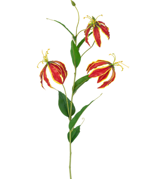 La Flor Artificial Gloriosa Real Touch Roja 75 cm tiene un solo tallo con tres vibrantes flores de lirio de color rojo y amarillo y largas hojas verdes, sobre un fondo blanco.