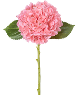 La Flor Artificial Charlotte Hortensia Real Touch Rosa 49 cm tiene una única hortensia rosa con densos y redondos manojos de pétalos, dos hojas verdes y un largo tallo verde sobre un fondo blanco.