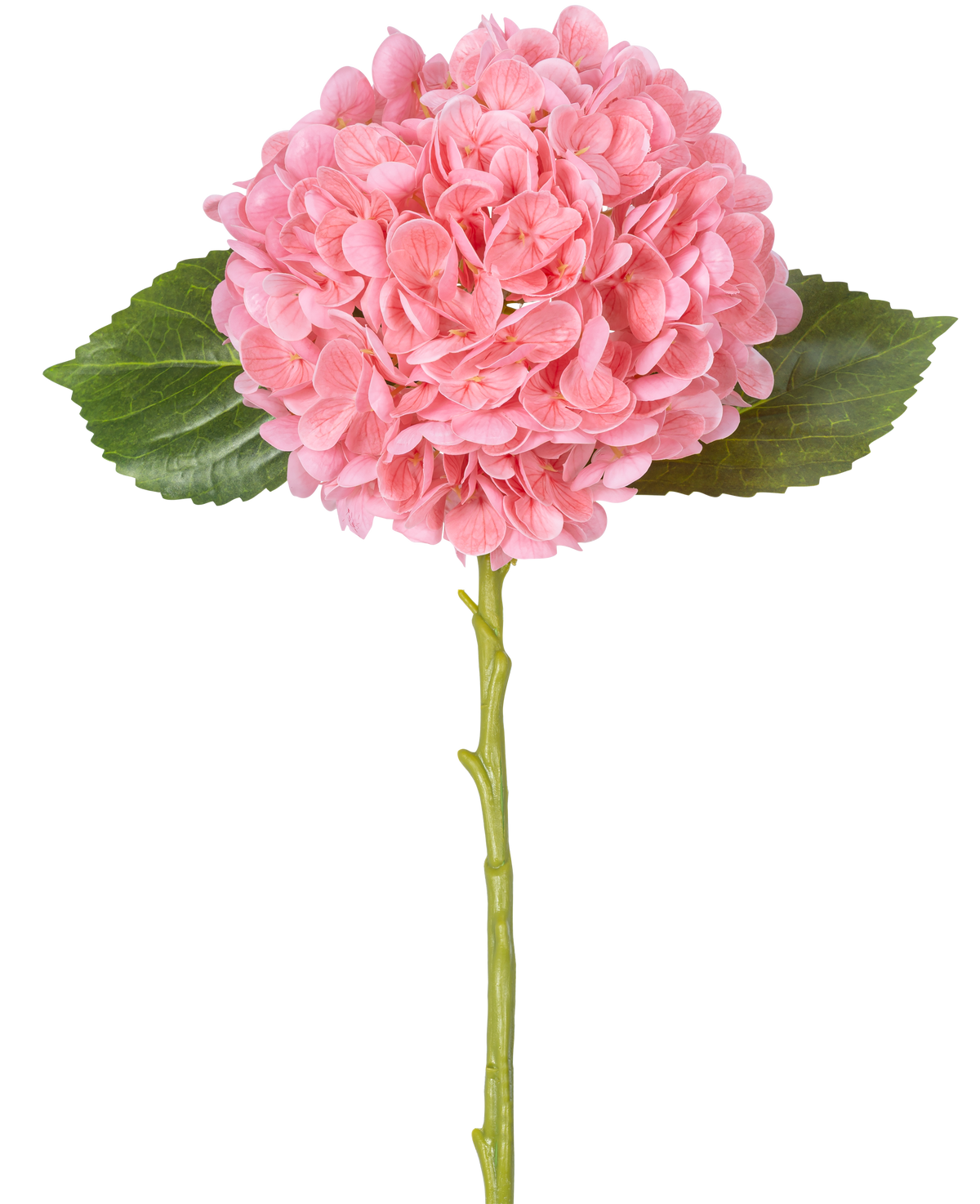 La Flor Artificial Charlotte Hortensia Real Touch Rosa 49 cm tiene una única hortensia rosa con densos y redondos manojos de pétalos, dos hojas verdes y un largo tallo verde sobre un fondo blanco.