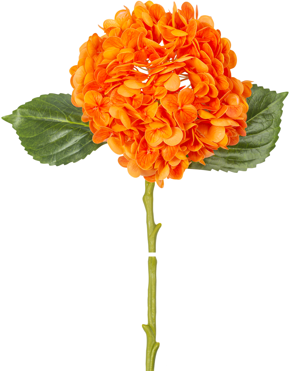 La Flor Artificial Hortensia Charlotte Real Touch naranja 49 cm tiene una flor de hortensia naranja con pétalos realistas, hojas verdes y un tallo largo, aislada sobre un fondo blanco.