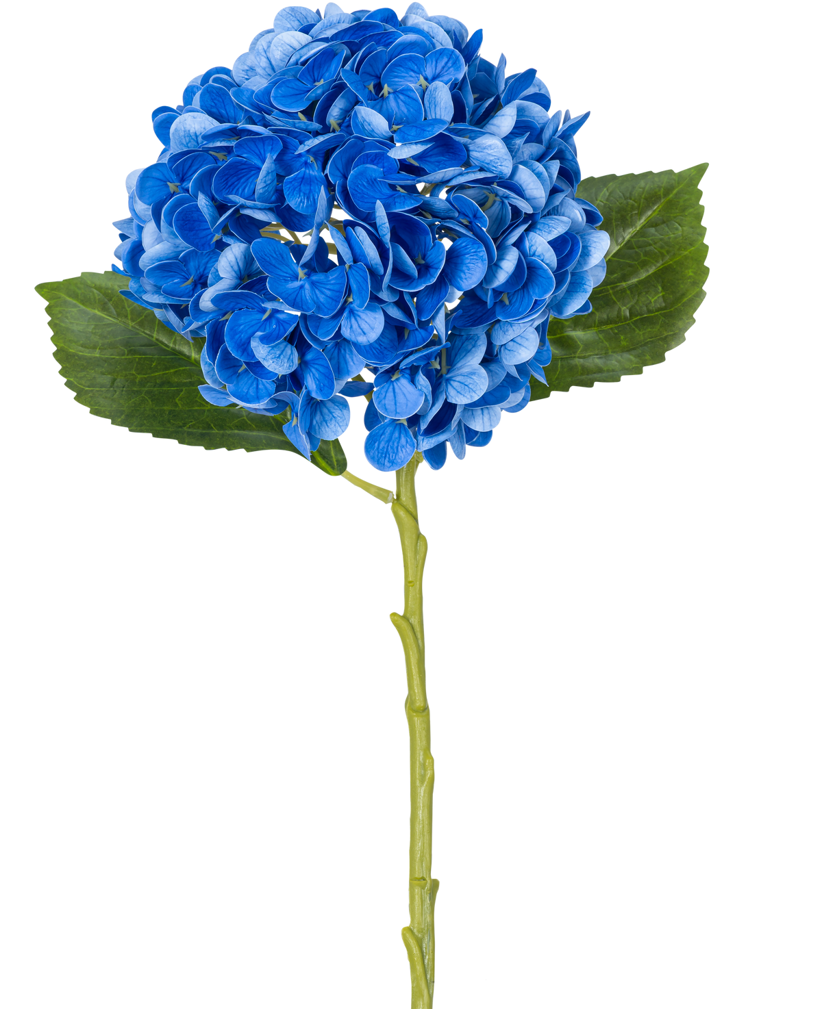 La Flor Artificial Charlotte Hydrangea Real Touch Blue 49 cm es una única hortensia azul con hojas verdes y un tallo largo, representada sobre un fondo blanco.