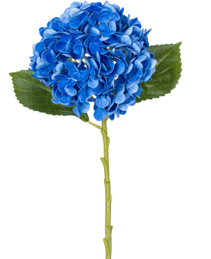 La Flor Artificial Charlotte Hydrangea Real Touch Blue 49 cm es una única hortensia azul con hojas verdes y un tallo largo, representada sobre un fondo blanco.