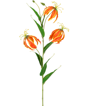 La Flor Artificial Gloriosa Real Touch Naranja 75 cm tiene un tallo alto de color verde con tres grandes lirios de color naranja y amarillo y hojas verdes largas y delgadas, bellamente expuestas sobre un fondo blanco.