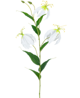 La Flor Artificial Gloriosa Real Touch Blanca 75 cm tiene un único tallo verde con tres flores abiertas de Gloriosa blancas, dos capullos, largos estambres amarillos y hojas verdes alargadas sobre un fondo liso blanco.