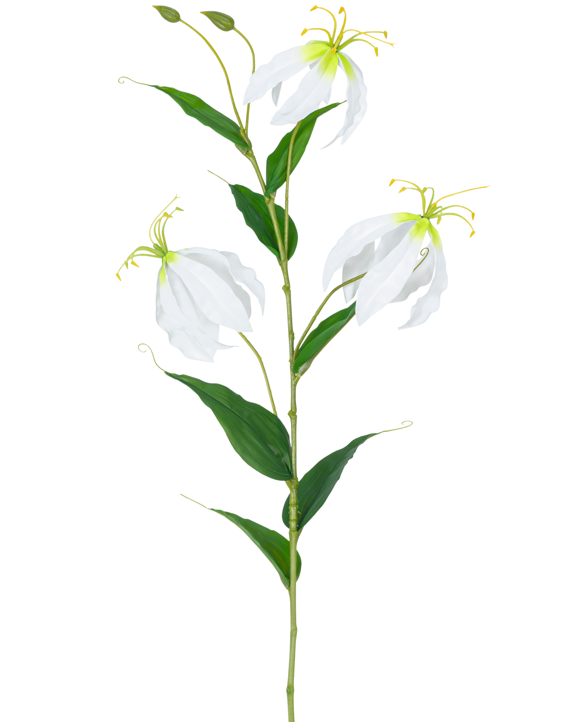 La Flor Artificial Gloriosa Real Touch Blanca 75 cm tiene un único tallo verde con tres flores abiertas de Gloriosa blancas, dos capullos, largos estambres amarillos y hojas verdes alargadas sobre un fondo liso blanco.