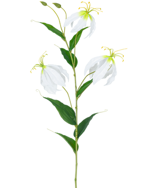 La Flor Artificial Gloriosa Real Touch Blanca 75 cm tiene un único tallo verde con tres flores abiertas de Gloriosa blancas, dos capullos, largos estambres amarillos y hojas verdes alargadas sobre un fondo liso blanco.