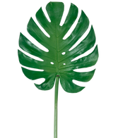 La Hoja Artificial Monstera de 88 cm es una gran hoja artificial de monstera verde con profundas hendiduras y perforaciones, sobre un fondo blanco liso.