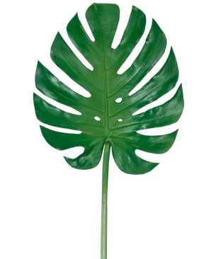 La Hoja Artificial Monstera de 88 cm es una gran hoja artificial de monstera verde con profundas hendiduras y perforaciones, sobre un fondo blanco liso.