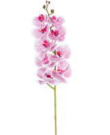 La orquídea artificial Real Touch Deluxe de 105 cm en color fucsia/blanco tiene un solo tallo con múltiples flores, con pétalos veteados de color rosa realistas que forman un llamativo acento decorativo sobre un fondo blanco liso.