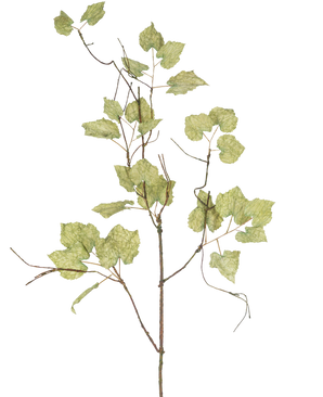 La rama artificial de uva pasa de 120 cm es una esbelta rama artificial de color marrón con varias hojas parecidas al papel de color verde claro que se asemejan a una parra seca, sobre un fondo blanco liso.