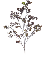 La rama artificial de eucalipto de 110 cm marrón tiene una rama alta con varios tallos finos, hojas pequeñas y redondas y racimos de bayas de color marrón verdoso sobre un fondo blanco liso.
