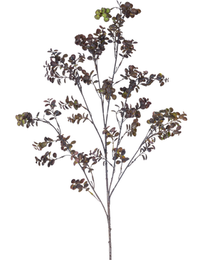 La rama artificial de eucalipto de 110 cm marrón tiene una rama alta con varios tallos finos, hojas pequeñas y redondas y racimos de bayas de color marrón verdoso sobre un fondo blanco liso.