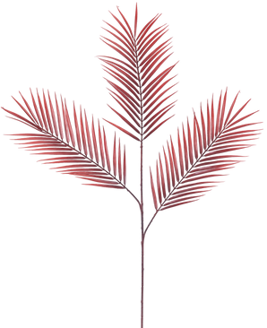 El helecho artificial rojo de 100 cm tiene cinco hojas de palma rojas, largas y estrechas, que se extienden de un solo tallo sobre un fondo blanco liso.