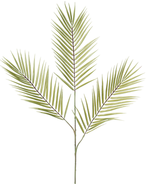 El Helecho Rama Artificial 100 cm verde tiene una única rama de helecho artificial verde con cinco hojas largas, estrechas y puntiagudas que sobresalen de un tallo central, sobre un fondo blanco.