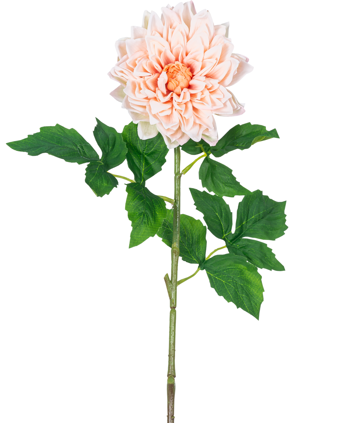 El Kunst Georgine Real Touch Light Pink 70 cm tiene una sola dalia de color rosa claro con pétalos en capas y un corazón amarillo sobre un largo tallo verde con varias hojas verdes grandes y dentadas.