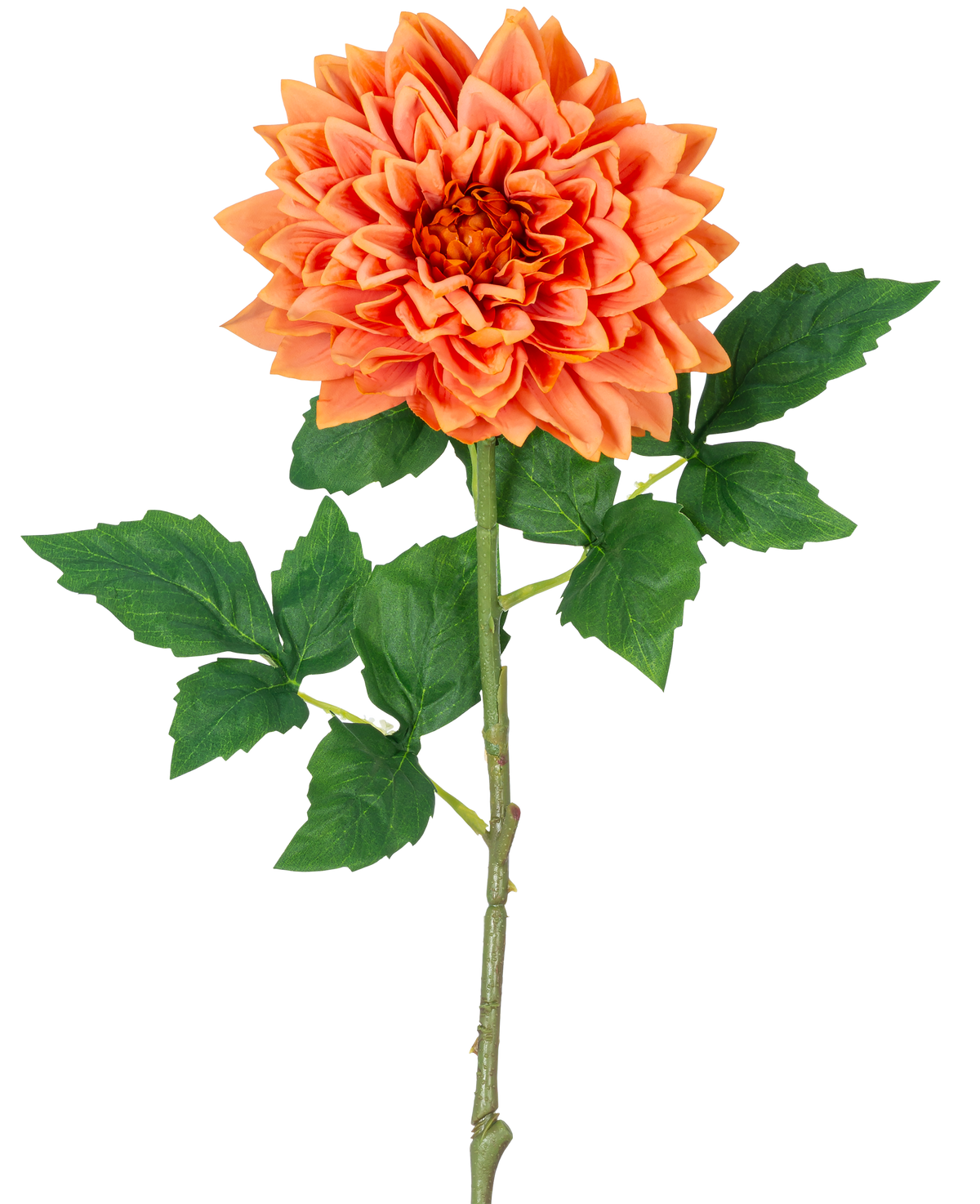 Un único tallo naranja de 70 cm de Kunst Georgine Real Touch tiene pétalos de dalia naranja en capas y hojas verdes, sobre un fondo blanco.