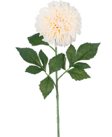 La Flor Artificial Dalia Real Touch Beige 72 cm tiene una sola dalia beige con pétalos en capas y hojas verdes sobre un tallo largo, aislada sobre un fondo blanco.