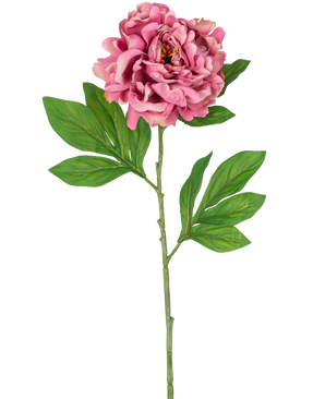La flor artificial Peonía rosa de 77 cm tiene una sola peonía rosa con pétalos en capas y hojas verdes sobre un tallo largo y delgado sobre un fondo blanco.