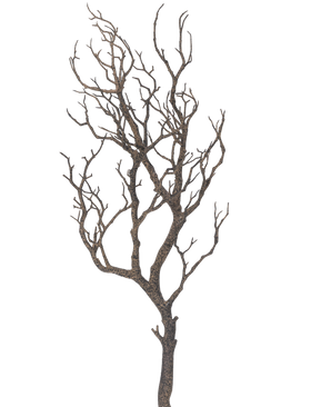 La rama decorativa Art de 89 cm tiene un árbol sin hojas con muchas ramas finas y sinuosas sobre un fondo blanco liso.